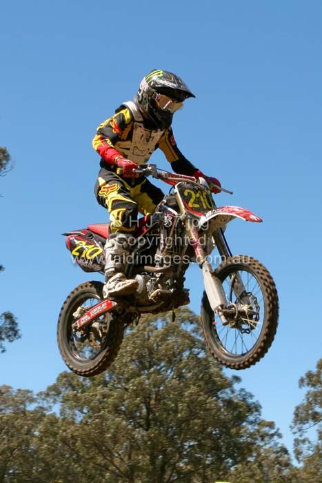 445x677 pixels (53K)